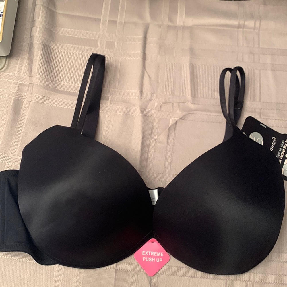 Enchanted padded bra